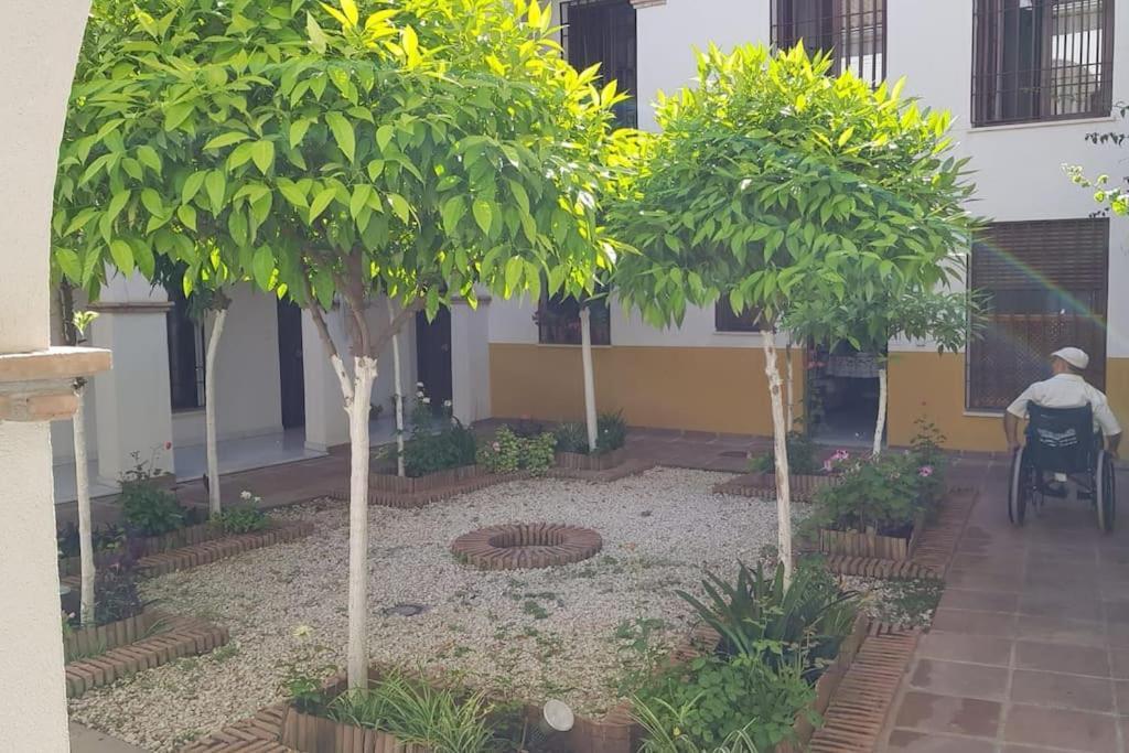Precioso Apartamento Junto A Plaza La Corredera 코르도바 외부 사진